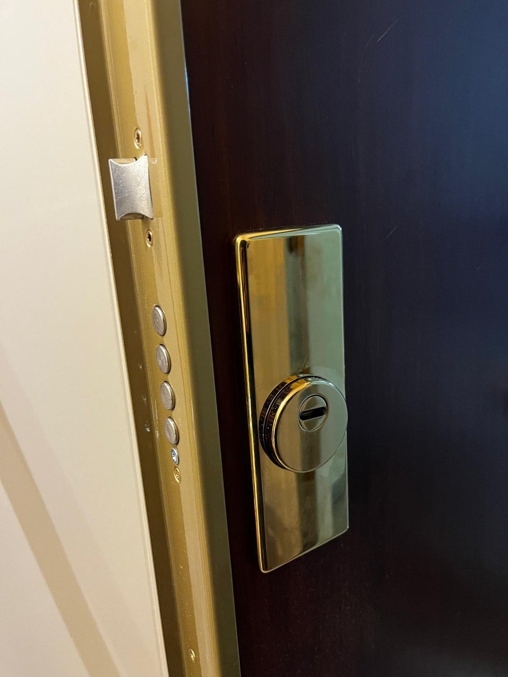 Cerrojo dorado en una puerta de madera oscura.